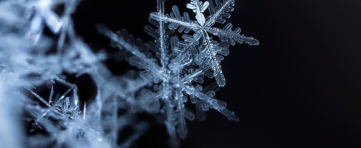 The Role Homeopathic Principles of Cure Play in Today's World