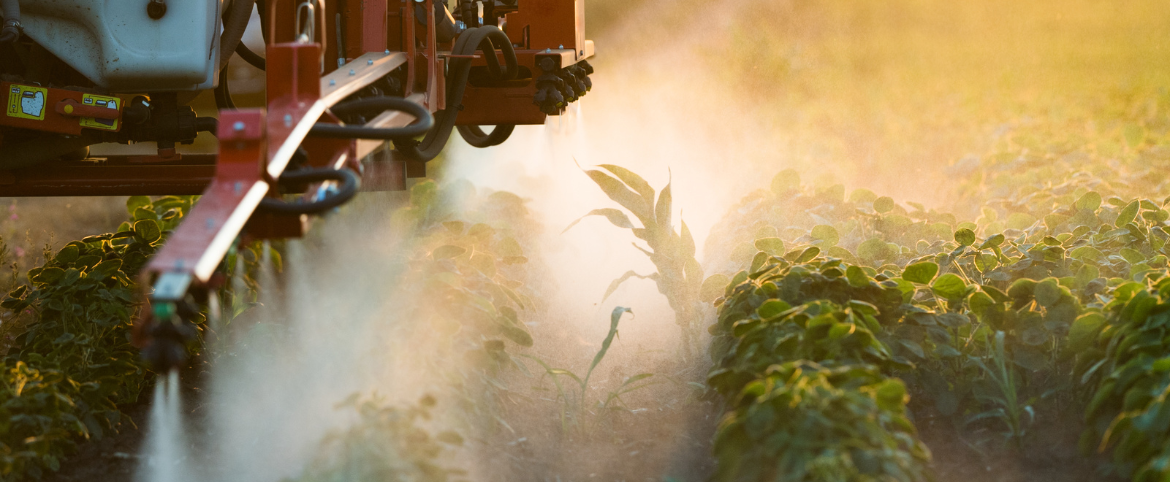 Is Glyphosate the Cause of Gluten...