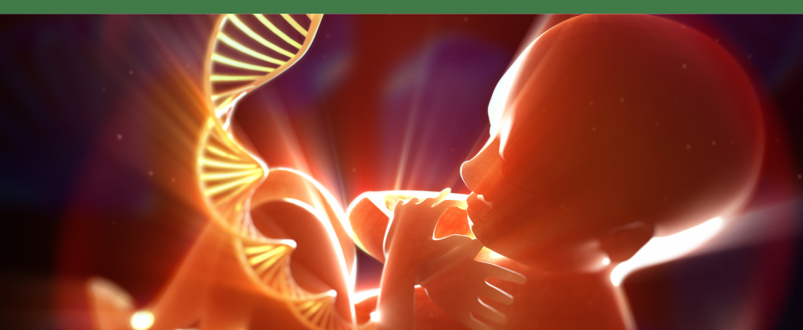 Your Womb Remembers: How Epigenetics Empowers You to Heal Generational Birth Trauma