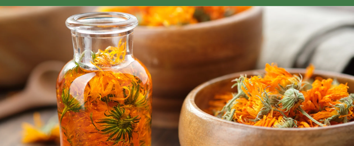 Why Choose Herbal Products