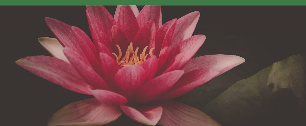 Yoga for Endometriosis: Scientifically Proven Benefits and 5 Postures